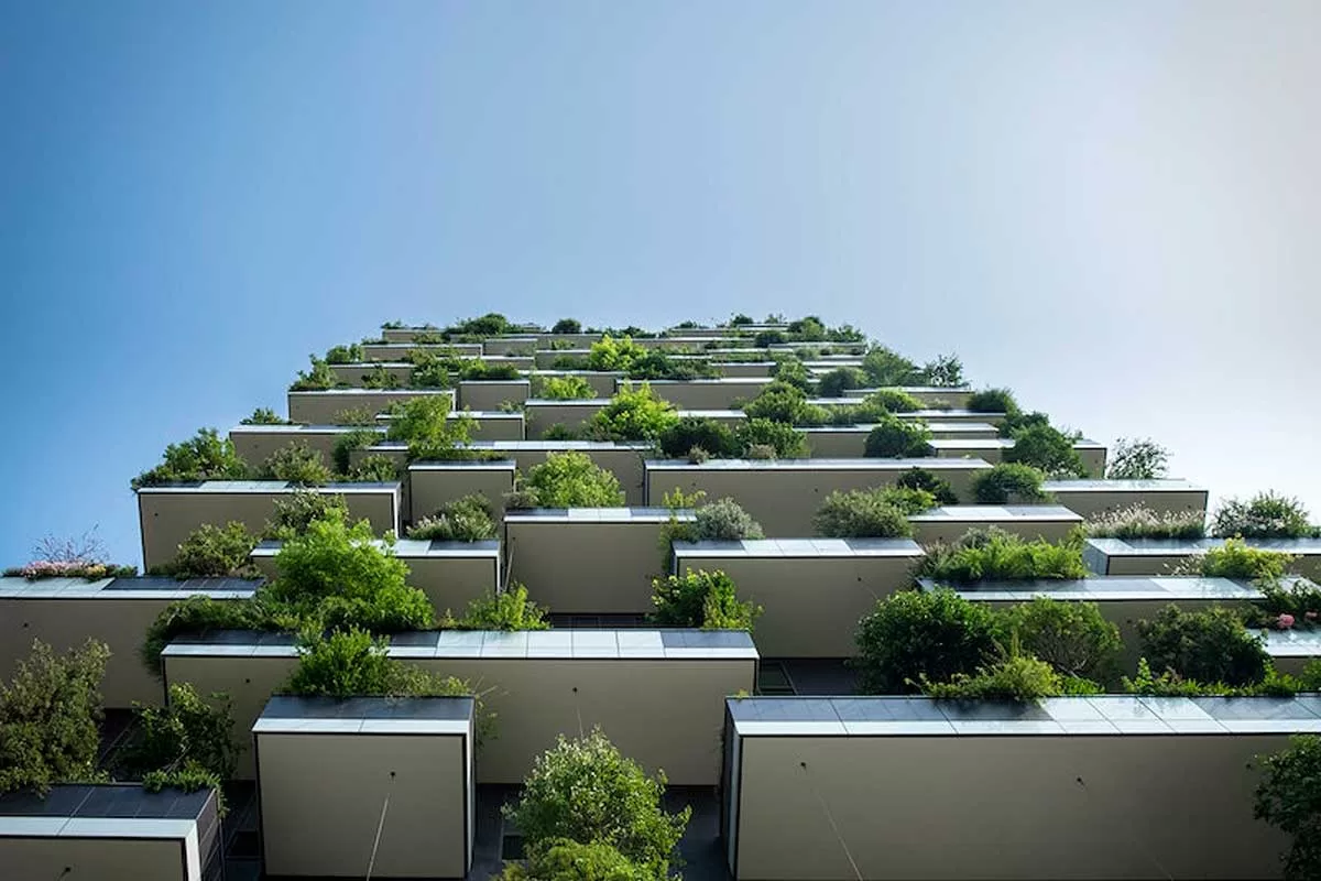 Sustainable Living Practices Gaining Popularity in the US